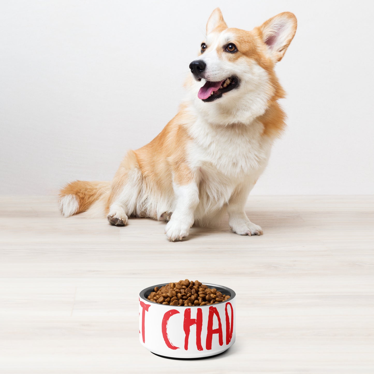 Meet Chad Pet Bowl