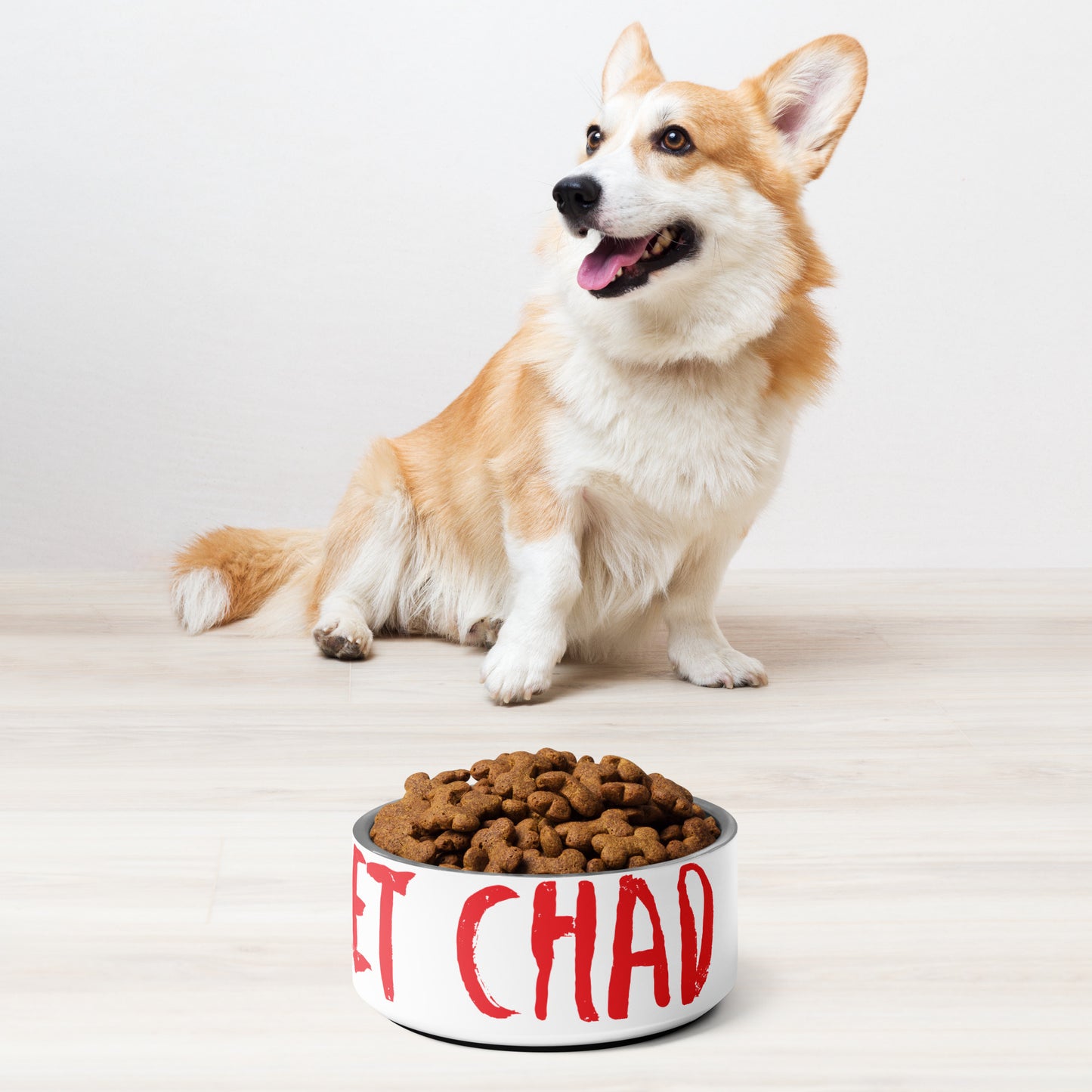 Meet Chad Pet Bowl
